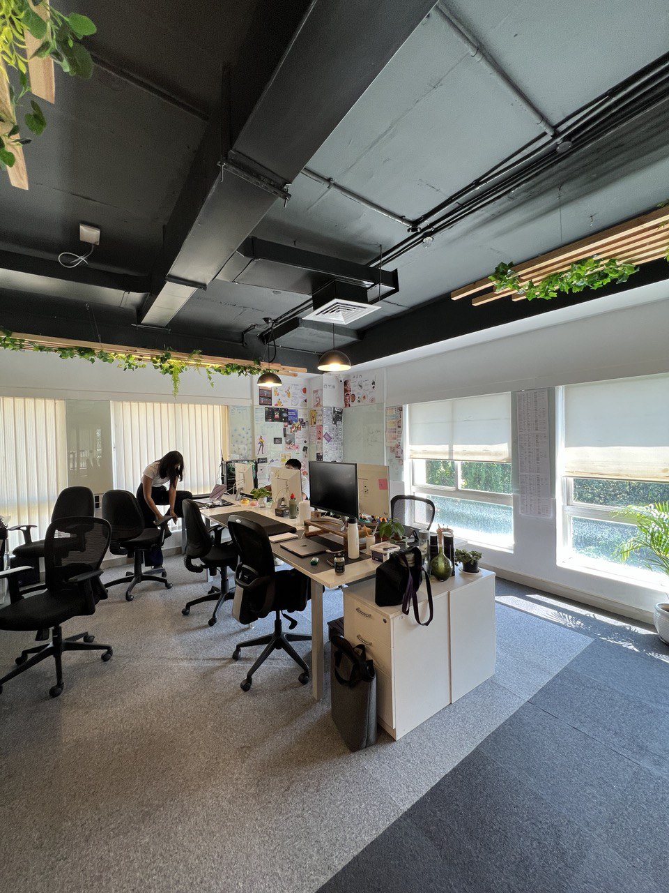 A light-filled studio workspace with plants, desks and people working